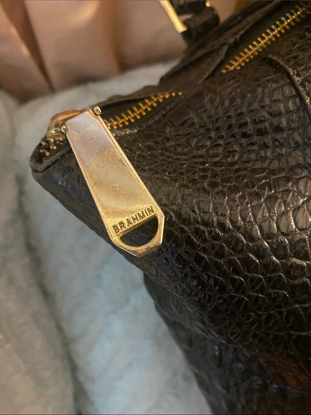 Brahmin structured croc